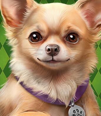 Diamond Doggies