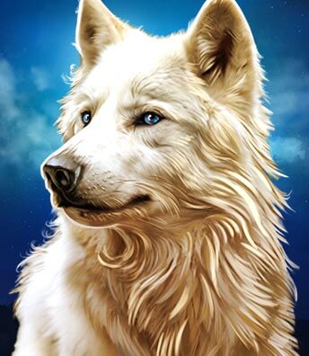 Wolf Stacks Megaways