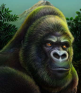 Silverback Multiplier Mountain